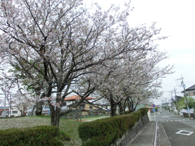 matumotosakura2015.04.02 005.jpg